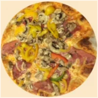 Tomaat, kaas, paprika, champignons, ham, salami en oregano